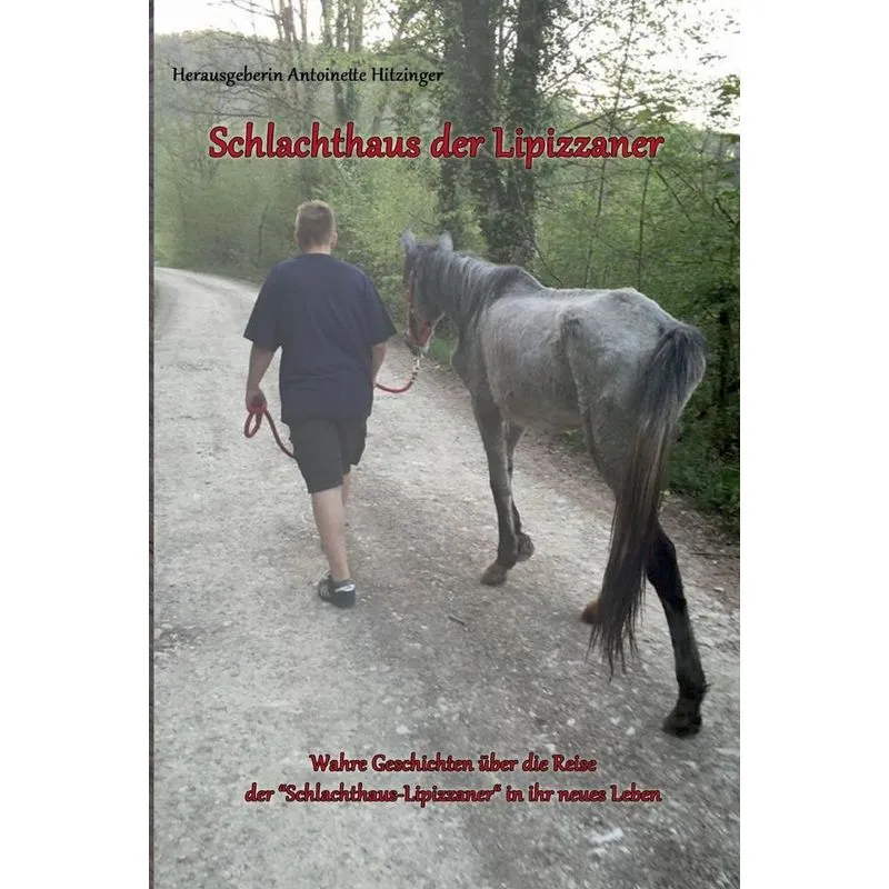 Schlachthaus der Lipizzaner