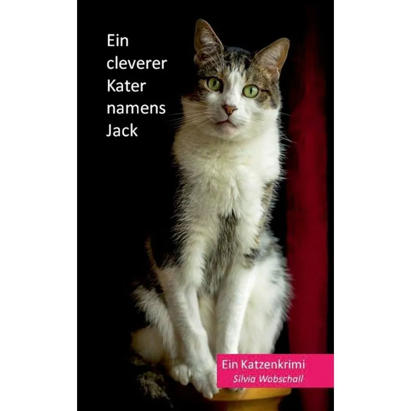 Ein cleverer Kater namens Jack