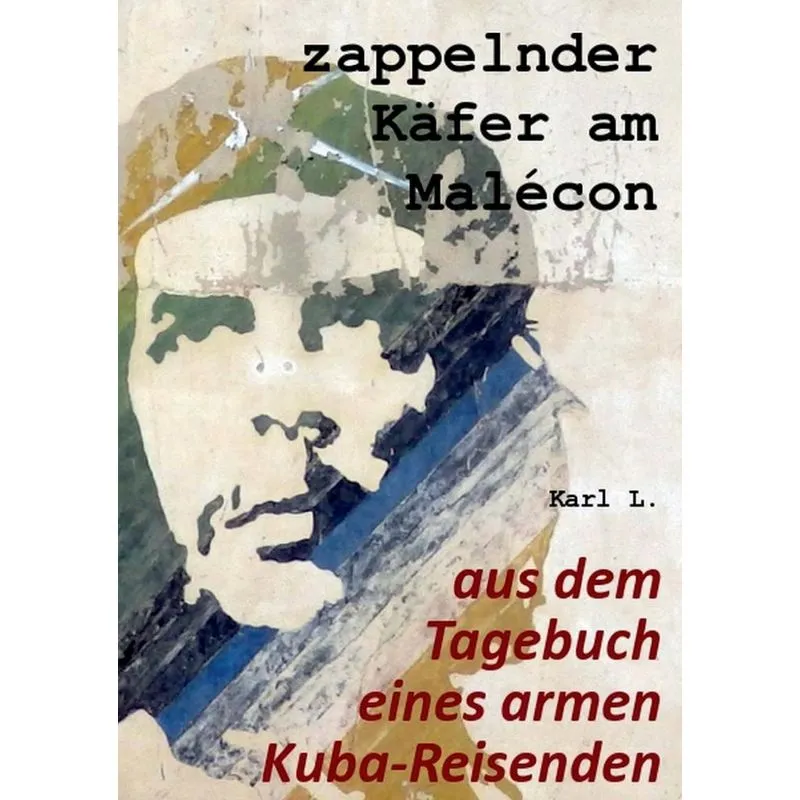 zappelnder Käfer am Malécon
