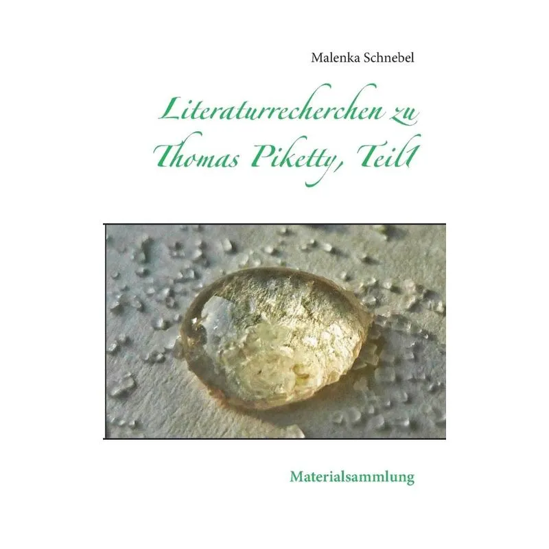 Literaturrecherchen zu Thomas Piketty, Teil1