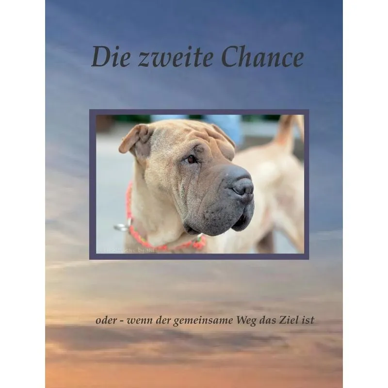 Die zweite Chance