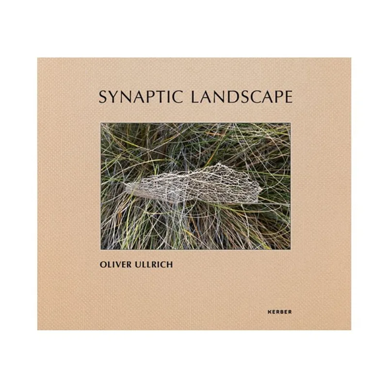SYNAPTIC LANDSCAPE: OLIVER ULLRICH