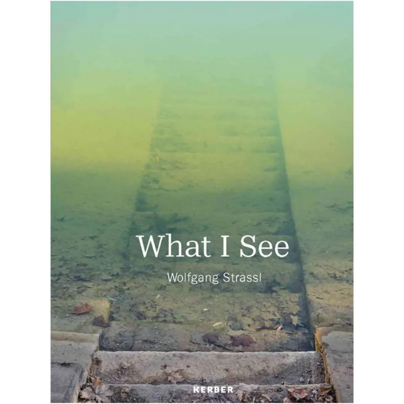 WHAT I SEE