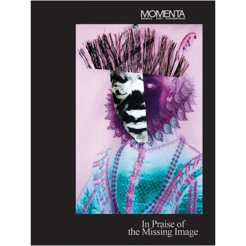 MOMENTA: IN PRAISE OF THE MISSING IMAGE