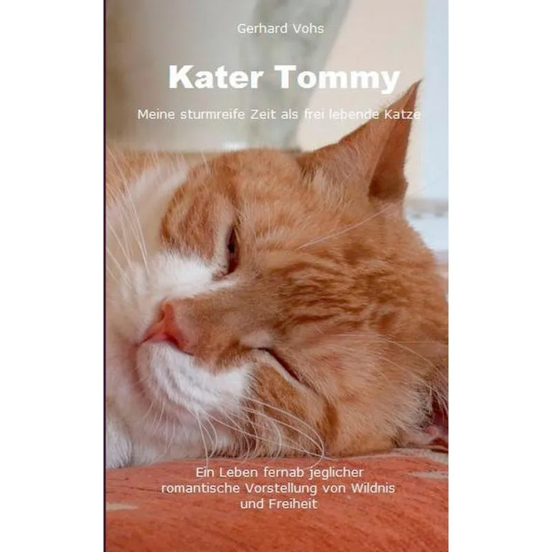 Kater Tommy