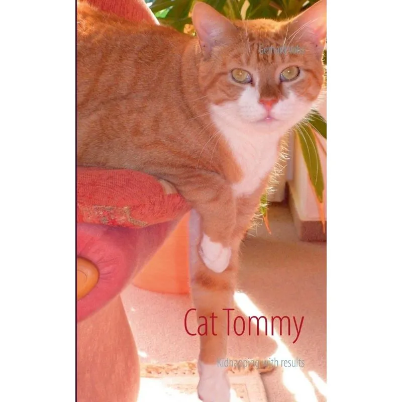 Cat Tommy