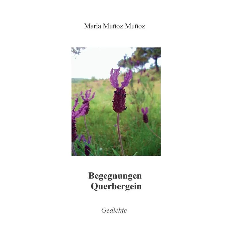 Begegnungen Querbergein