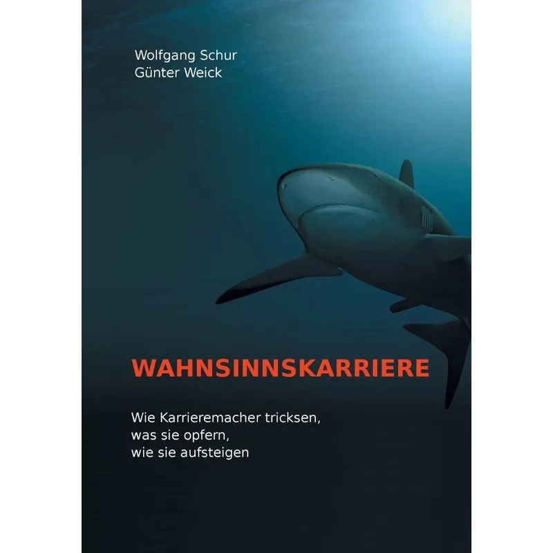 Wahnsinnskarriere