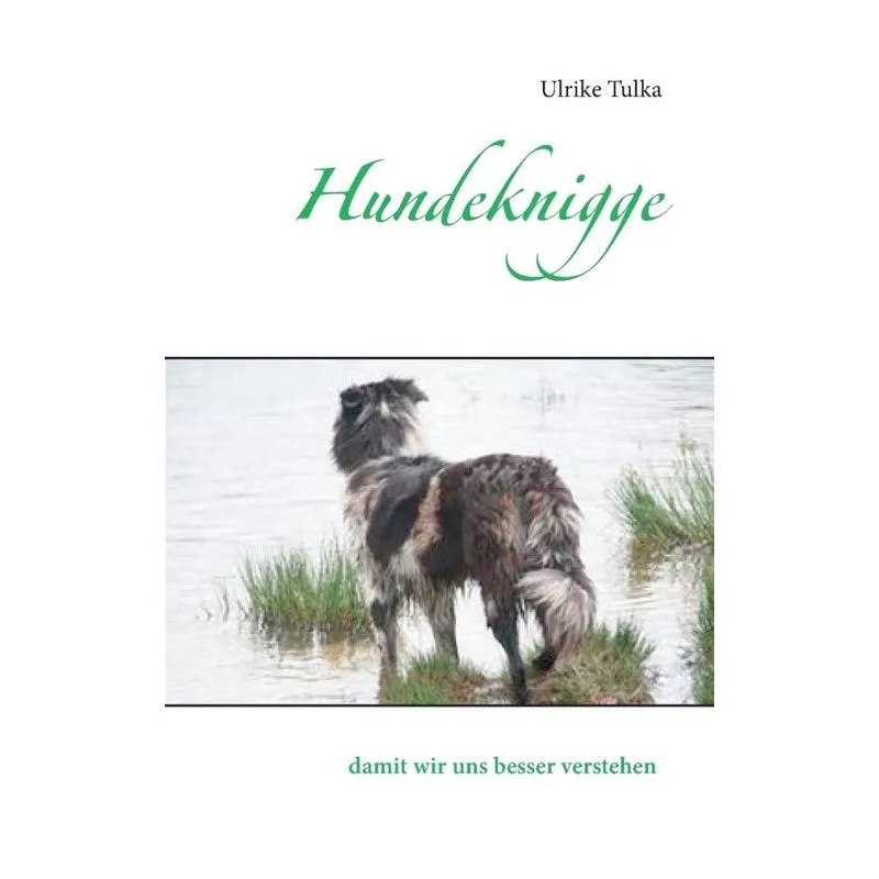 Hundeknigge