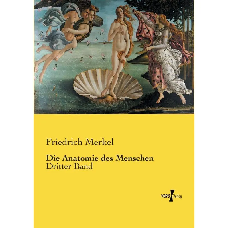 Die Anatomie Des Menschen