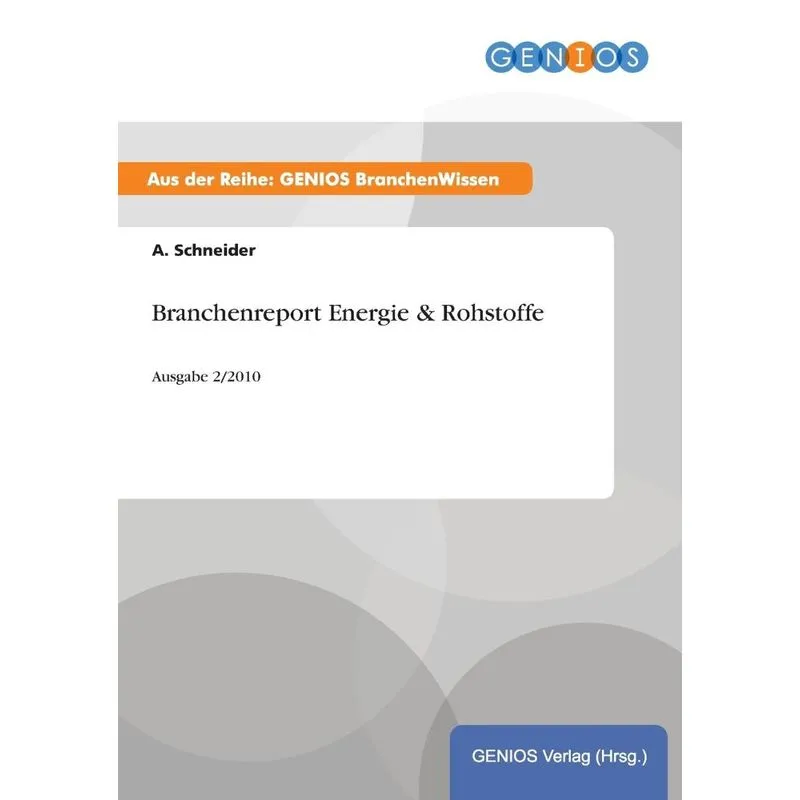 Branchenreport Energie & Rohstoffe
