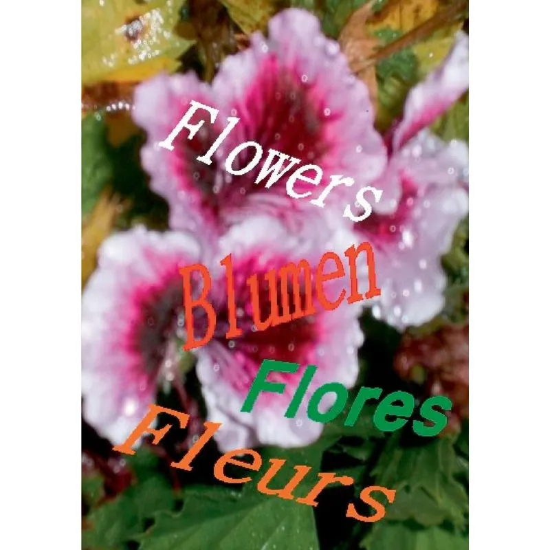 Flowers Blumen Fleurs Flores