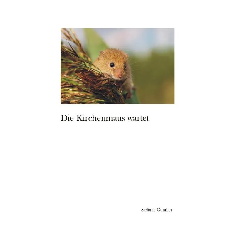 Die Kirchenmaus wartet