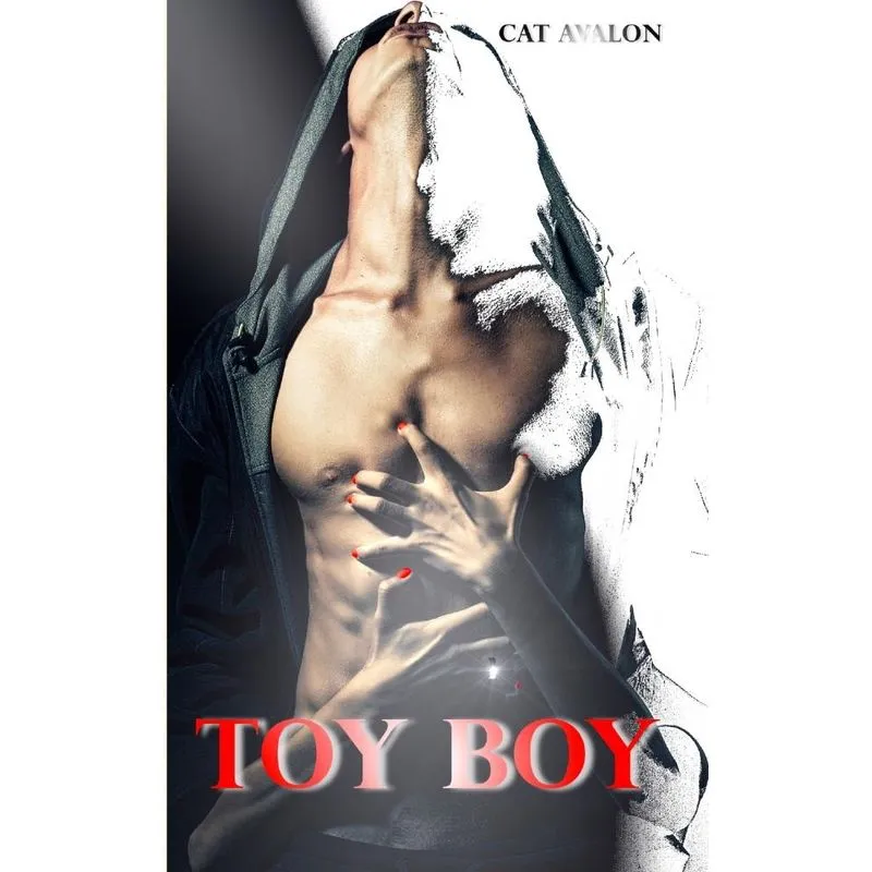 ToyBoy