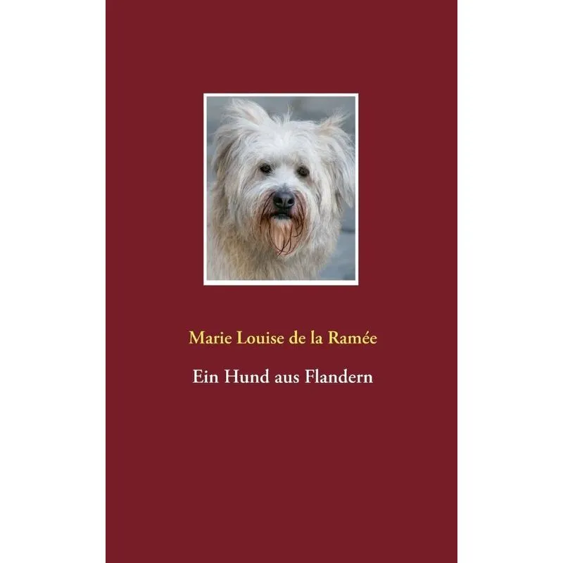 Ein Hund aus Flandern