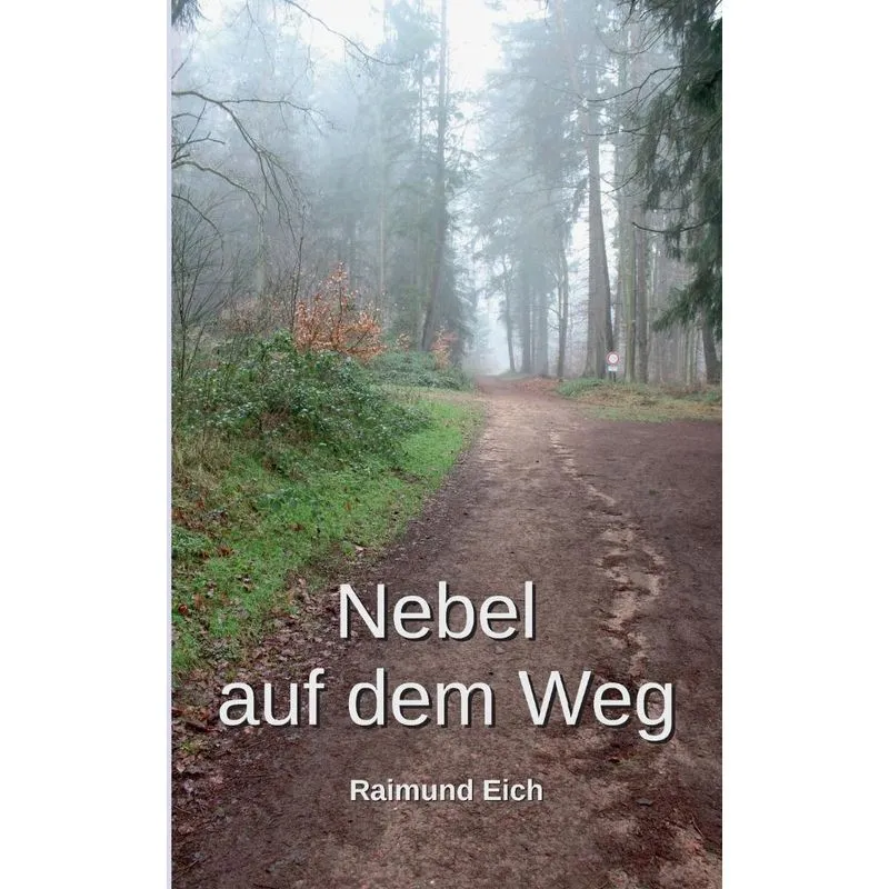 Nebel auf dem Weg
