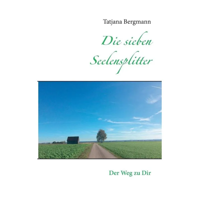 Die sieben Seelensplitter