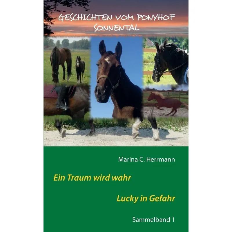 Geschichten vom Ponyhof Sonnental