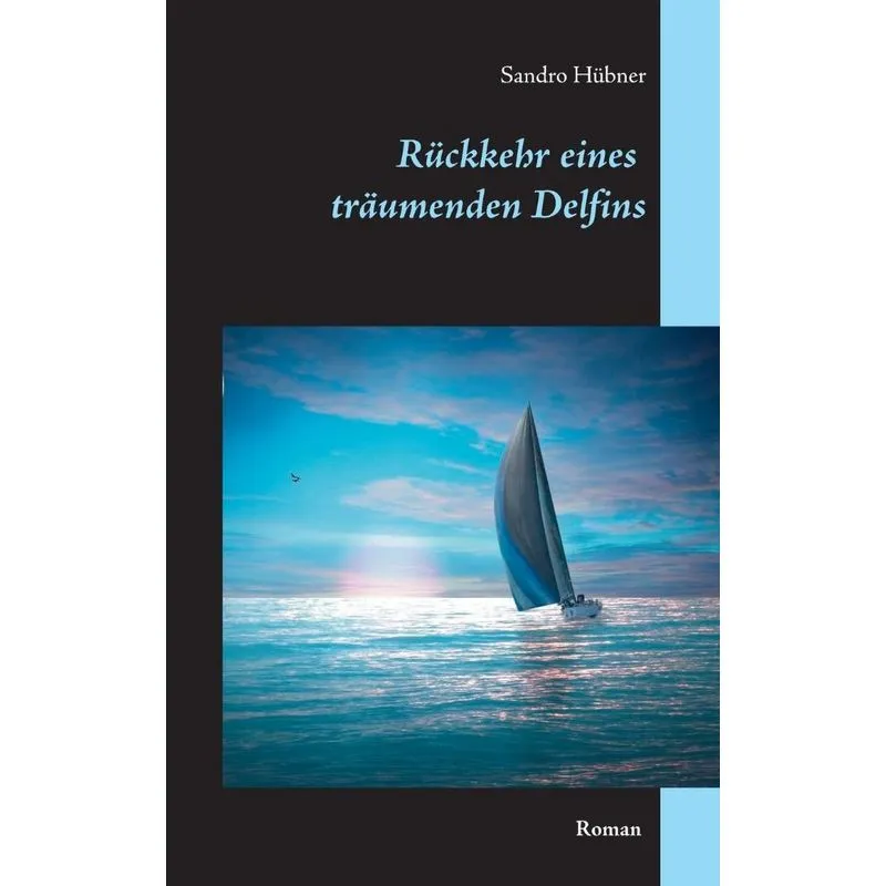 Rückkehr eines träumenden Delfins