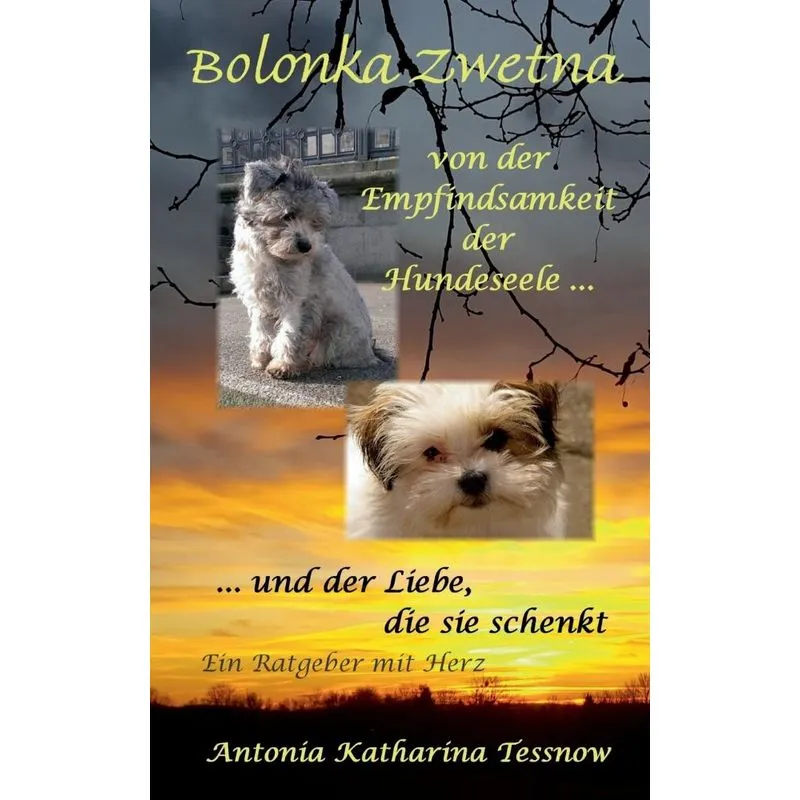 Bolonka Zwetna