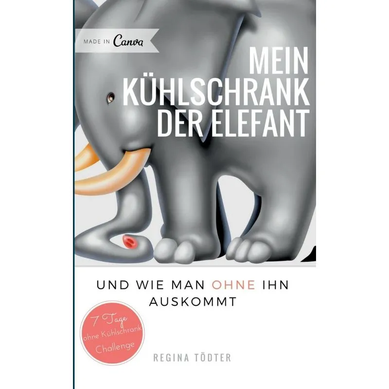 Mein Kühlschrank der Elefant