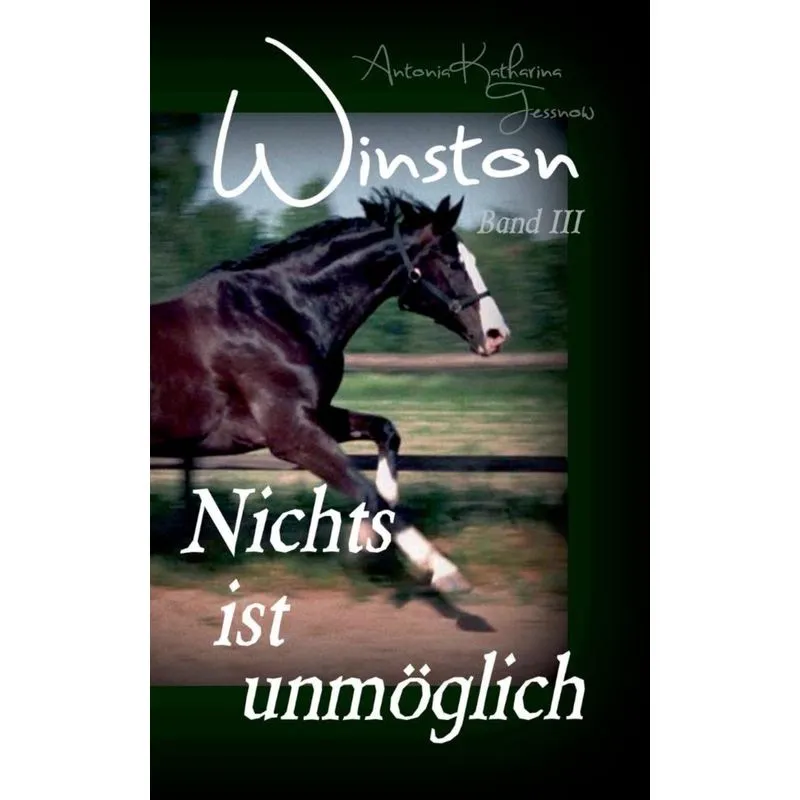 Winston - Nichts ist unmöglich