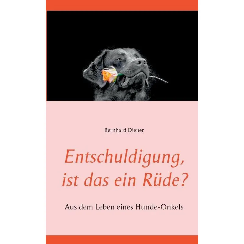 Entschuldigung, ist das ein Rüde?