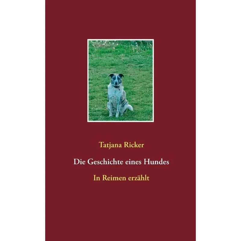 Die Geschichte eines Hundes