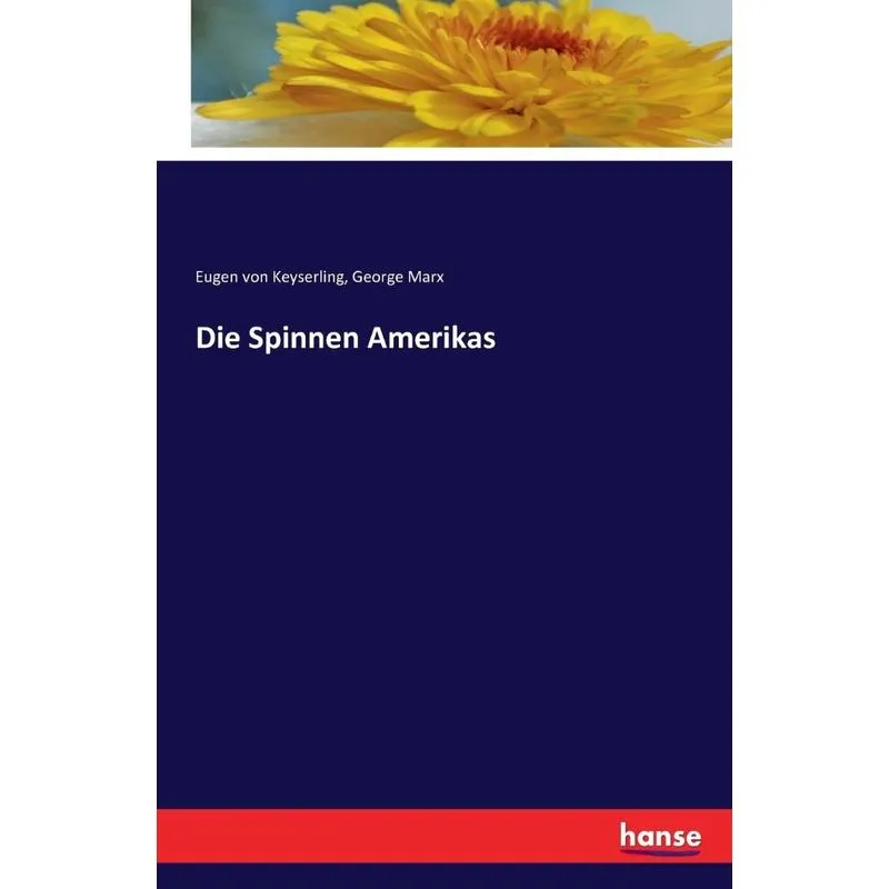 Die Spinnen Amerikas