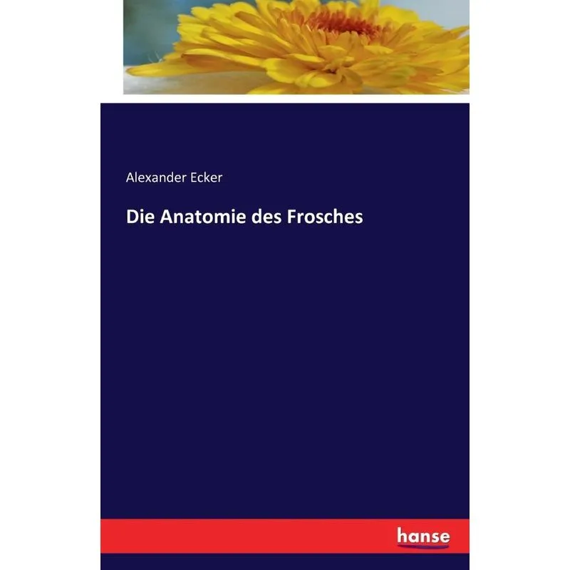 Die Anatomie des Frosches