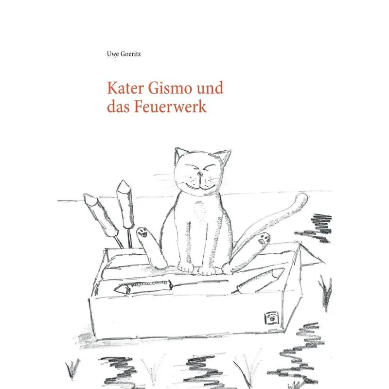 Kater Gismo und das Feuerwerk