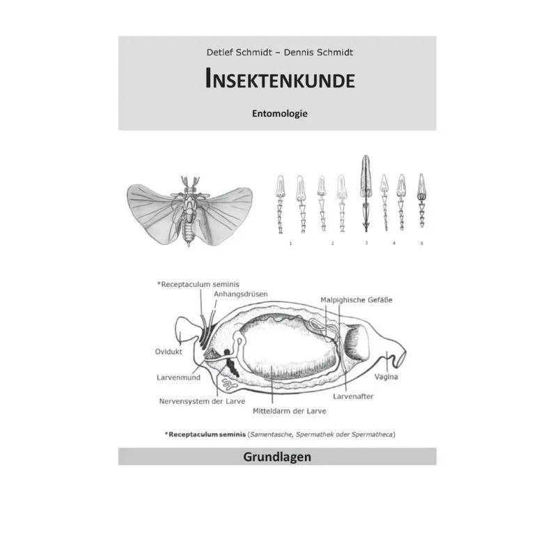 Insektenkunde