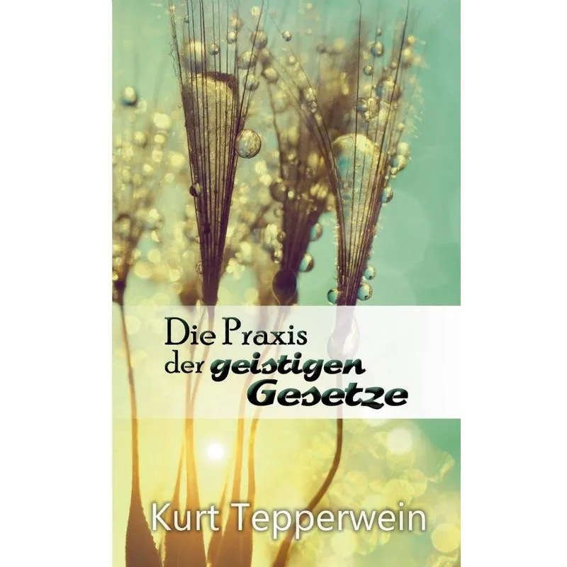 Die Praxis der geistigen Gesetze