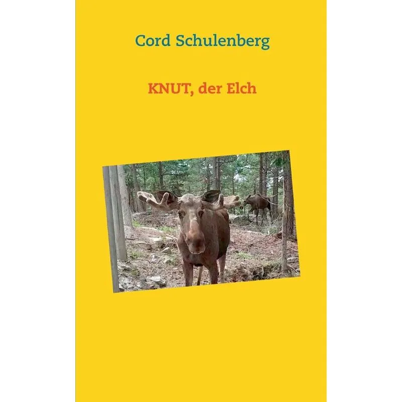 Knut, der Elch