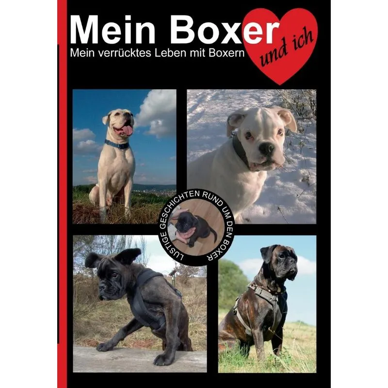 Mein Boxer und ich