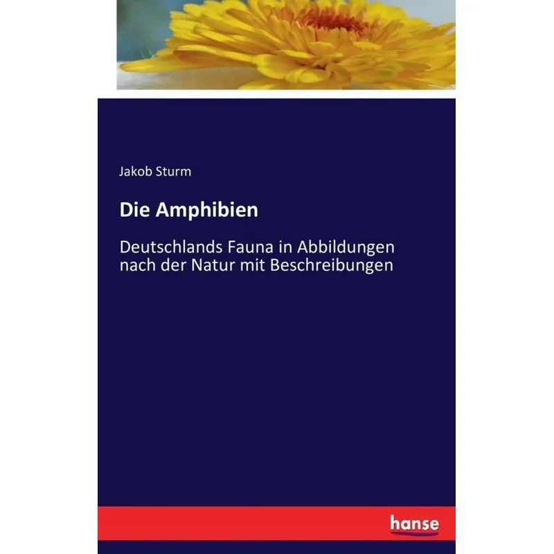 Die Amphibien