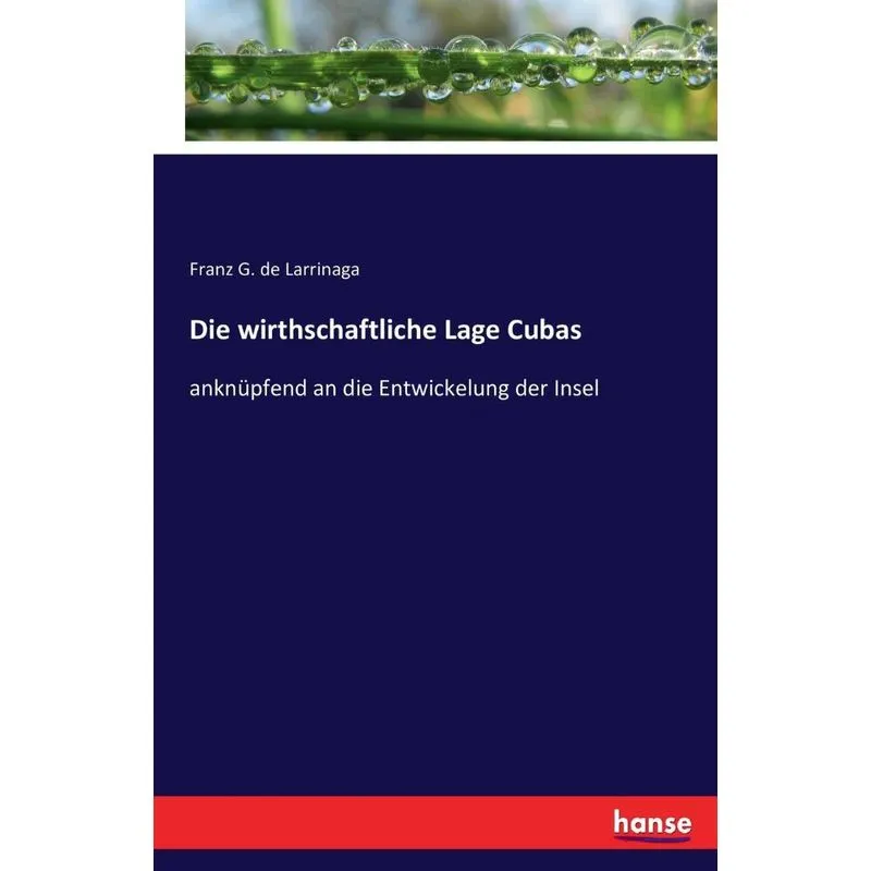 Die wirthschaftliche Lage Cubas