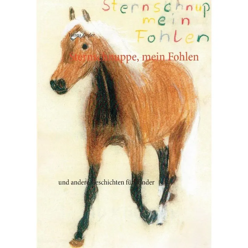 Sternschnuppe, mein Fohlen