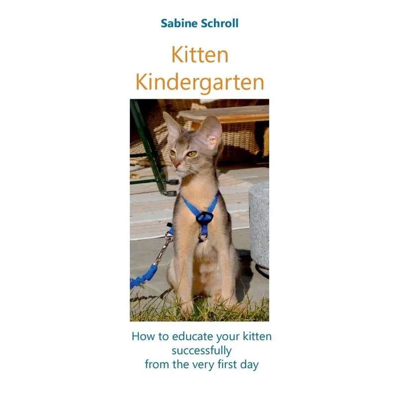 Kitten Kindergarten