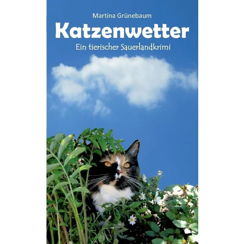 Katzenwetter