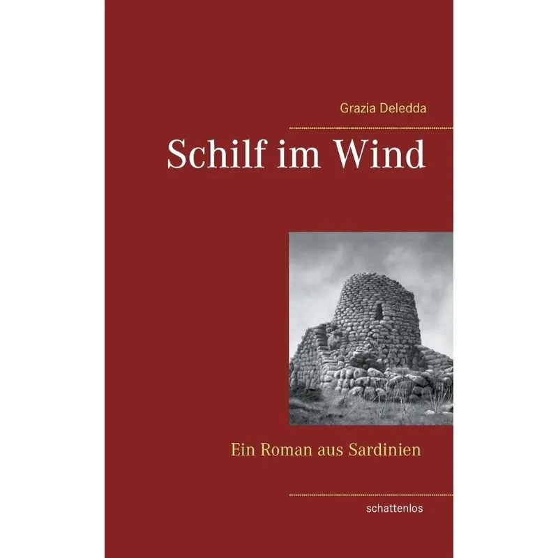 Schilf im Wind