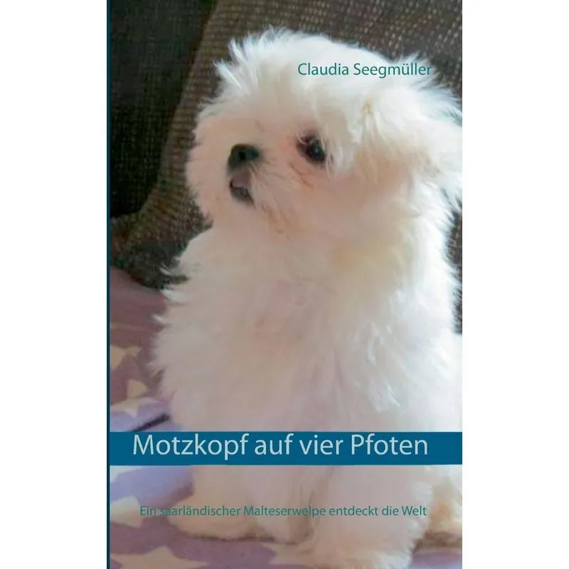 Motzkopf auf vier Pfoten