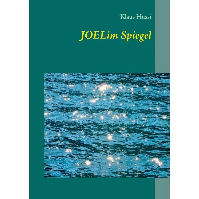 Joel im Spiegel