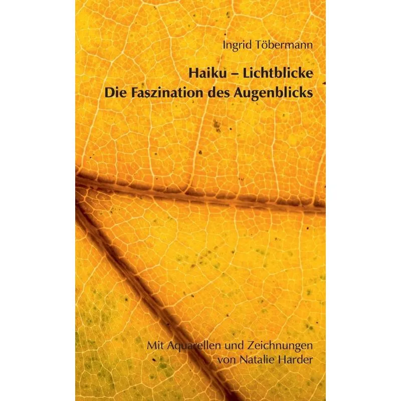 Haiku - Lichtblicke