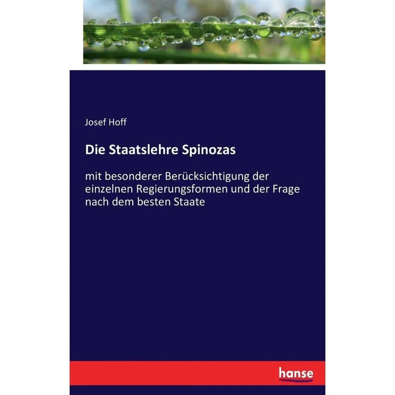 Die Staatslehre Spinozas