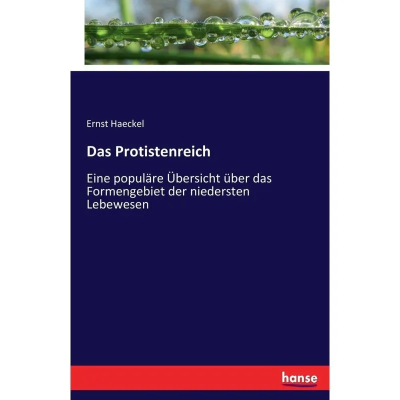 Das Protistenreich