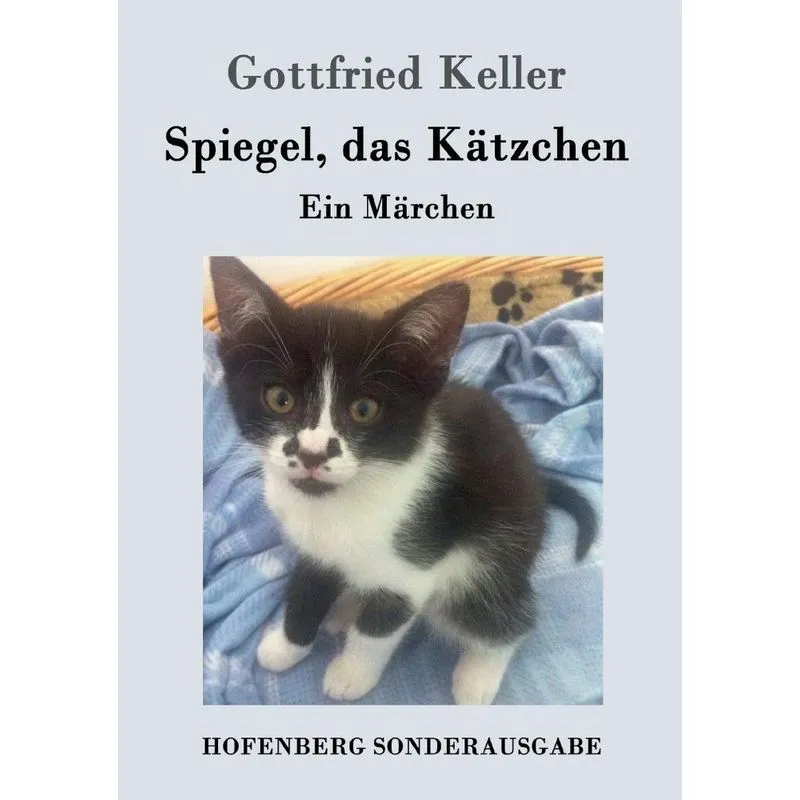 Spiegel, das Kätzchen