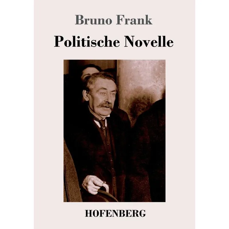 Politische Novelle
