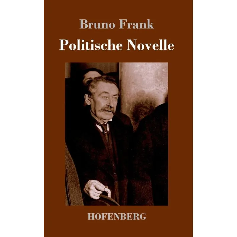 Politische Novelle