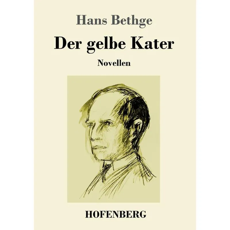 Der gelbe Kater